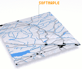 3d view of Soft Maple