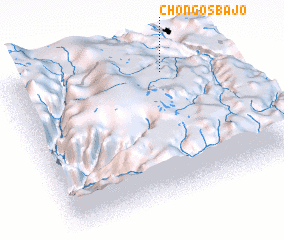 3d view of Chongos Bajo