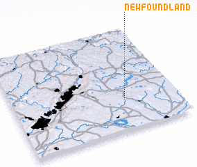 3d view of Newfoundland