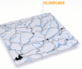 3d view of Silver Lake