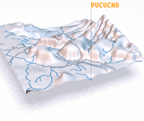 3d view of Pucucho