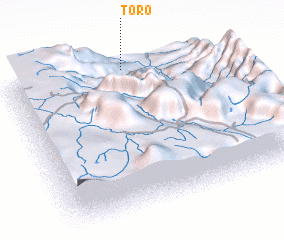 3d view of Toro