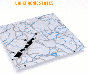 3d view of Lake Naomi Estates