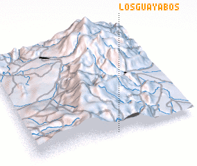 3d view of Los Guayabos