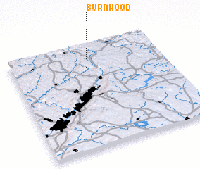 3d view of Burnwood