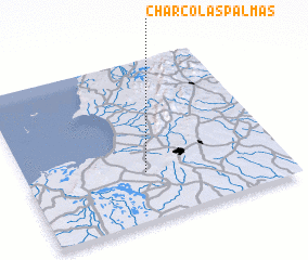 3d view of Charco Las Palmas