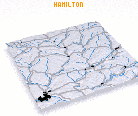 3d view of Hamilton