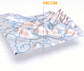 3d view of Paccha