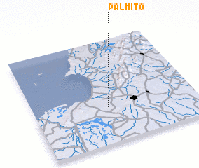 3d view of Palmito