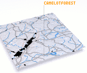 3d view of Camelot Forest