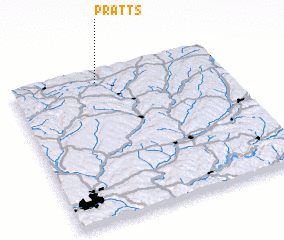 3d view of Pratts