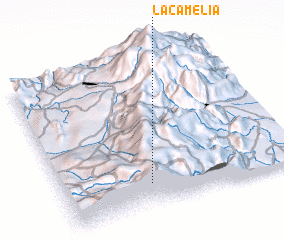 3d view of La Camelia