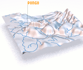 3d view of Pongo