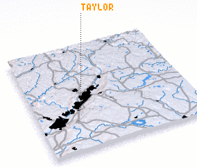 3d view of Taylor