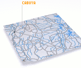 3d view of Cabuya