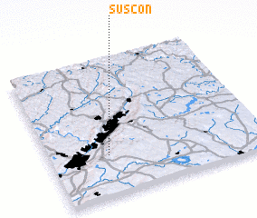 3d view of Suscon