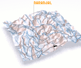 3d view of Naranjal