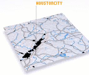 3d view of Houston City