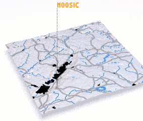 3d view of Moosic