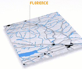 3d view of Florence