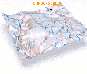 3d view of Chaucas Chico