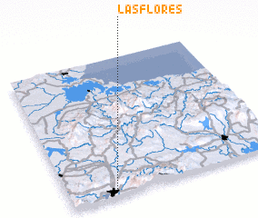 3d view of Las Flores