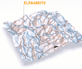 3d view of El Pajarito