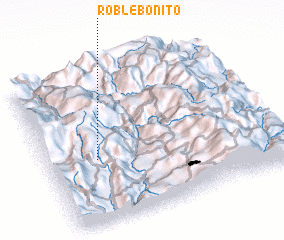 3d view of Roble Bonito