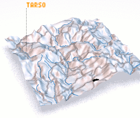 3d view of Tarso