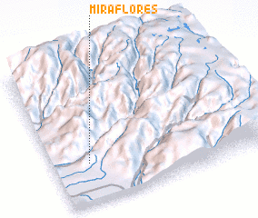 3d view of Miraflores