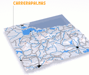 3d view of Carrera Palmas