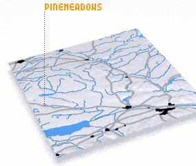 3d view of Pine Meadows