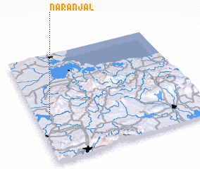 3d view of Naranjal