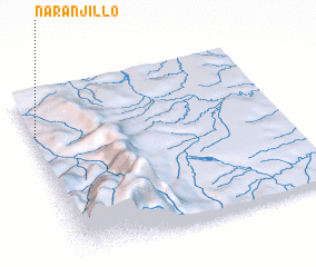 3d view of Naranjillo