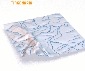 3d view of Tingo María