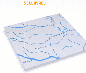 3d view of Selvayacu