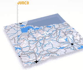 3d view of Junco