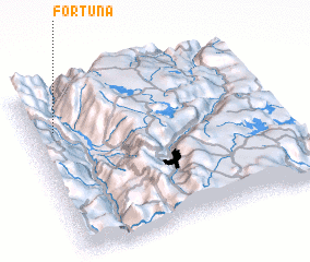 3d view of Fortuna