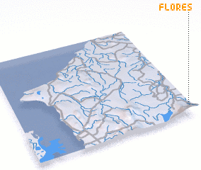 3d view of Flores