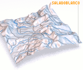 3d view of Saladoblanco