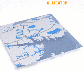 3d view of Alligator