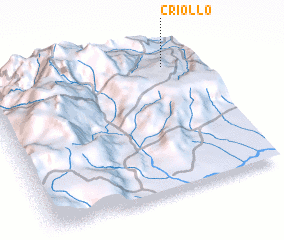 3d view of Criollo