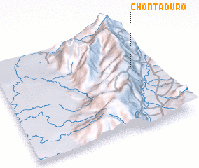 3d view of Chontaduro