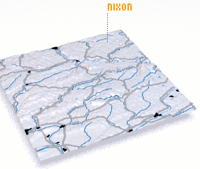 3d view of Nixon