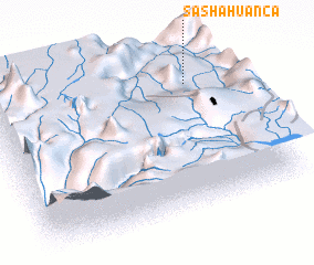 3d view of Sashahuanca