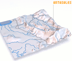 3d view of Antasales