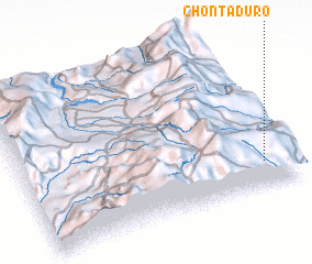 3d view of Chontaduro