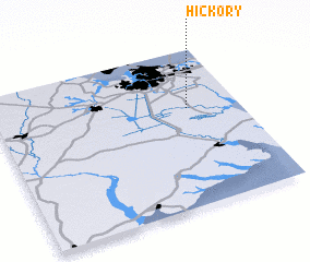 3d view of Hickory