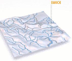 3d view of Sauce