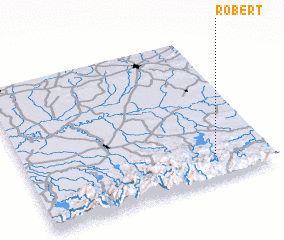 3d view of Robert